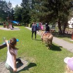 phoca_thumb_m_ponk 137 Fotogalerie